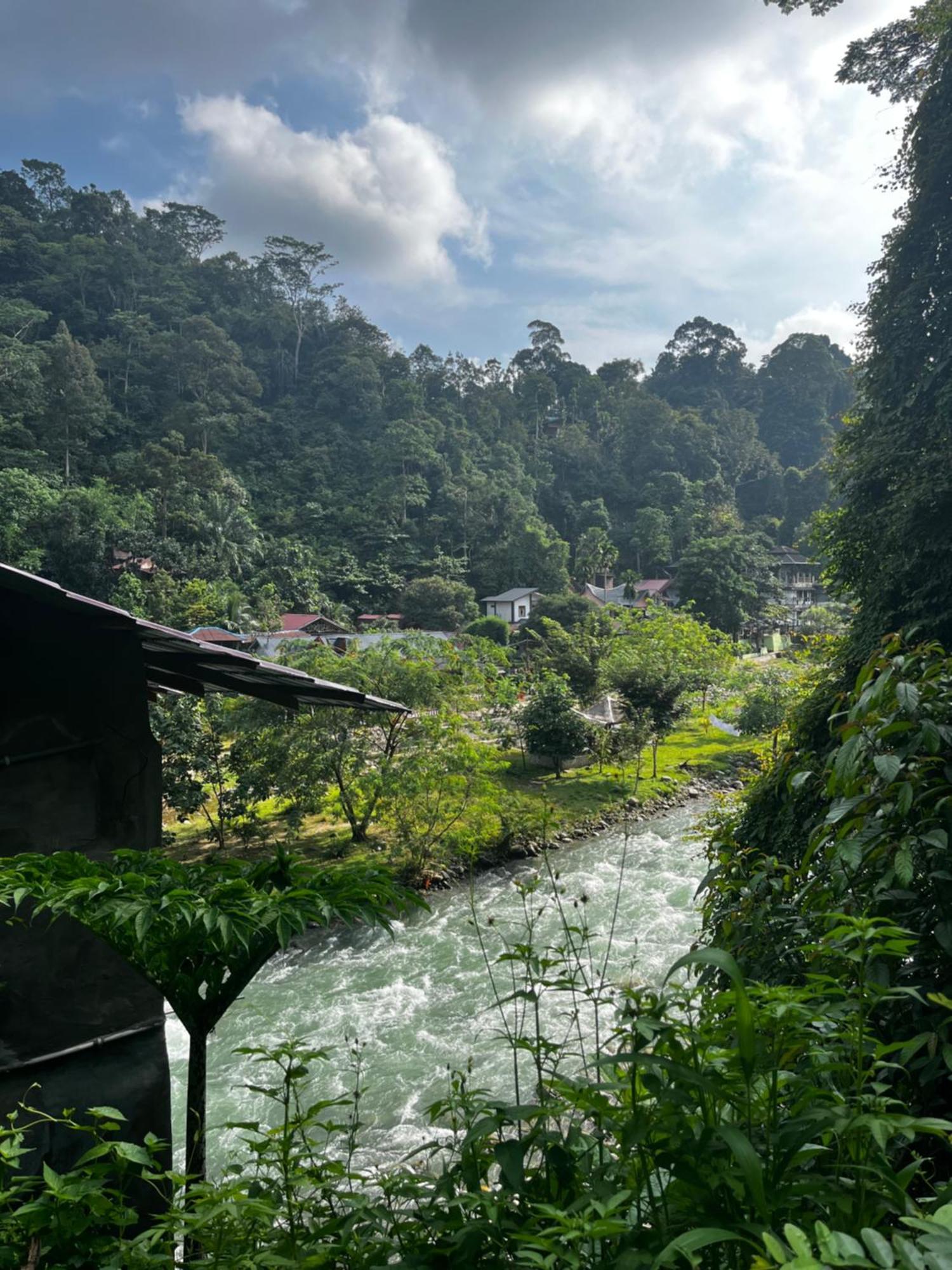 Charlys Little House Hotel Bukit Lawang Eksteriør billede